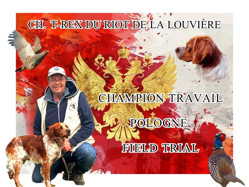 Champion de Travail Pologne Field Trial 2025