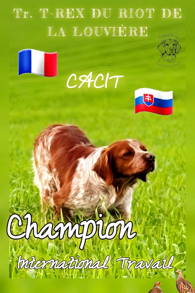 CHAMPION INTERNATIONAL DE TRAVAIL 2025